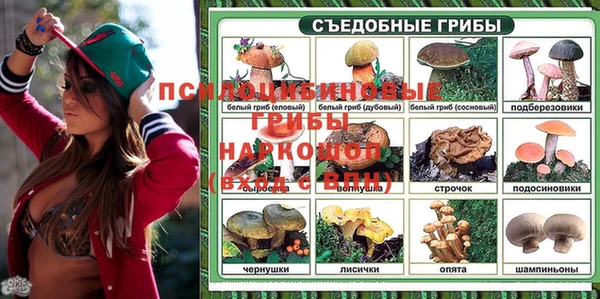 гашик Арсеньев