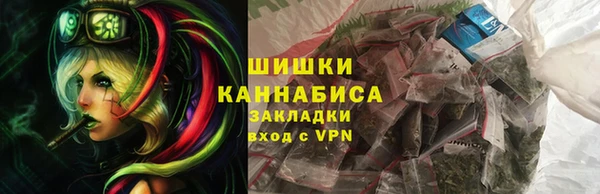 гашик Арсеньев