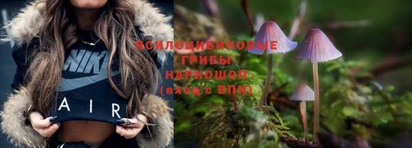 трава Аркадак