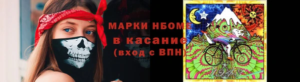 трава Аркадак