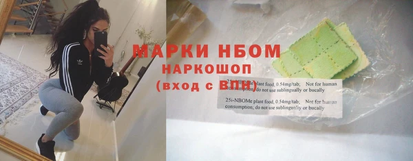 гашик Арсеньев