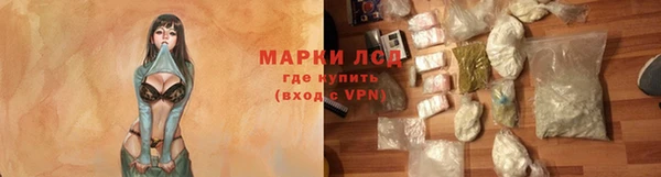 трава Аркадак