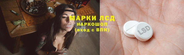 гашик Арсеньев