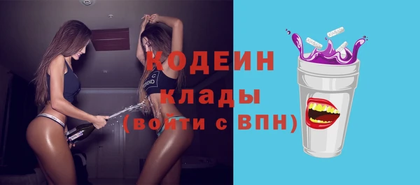 гашик Арсеньев